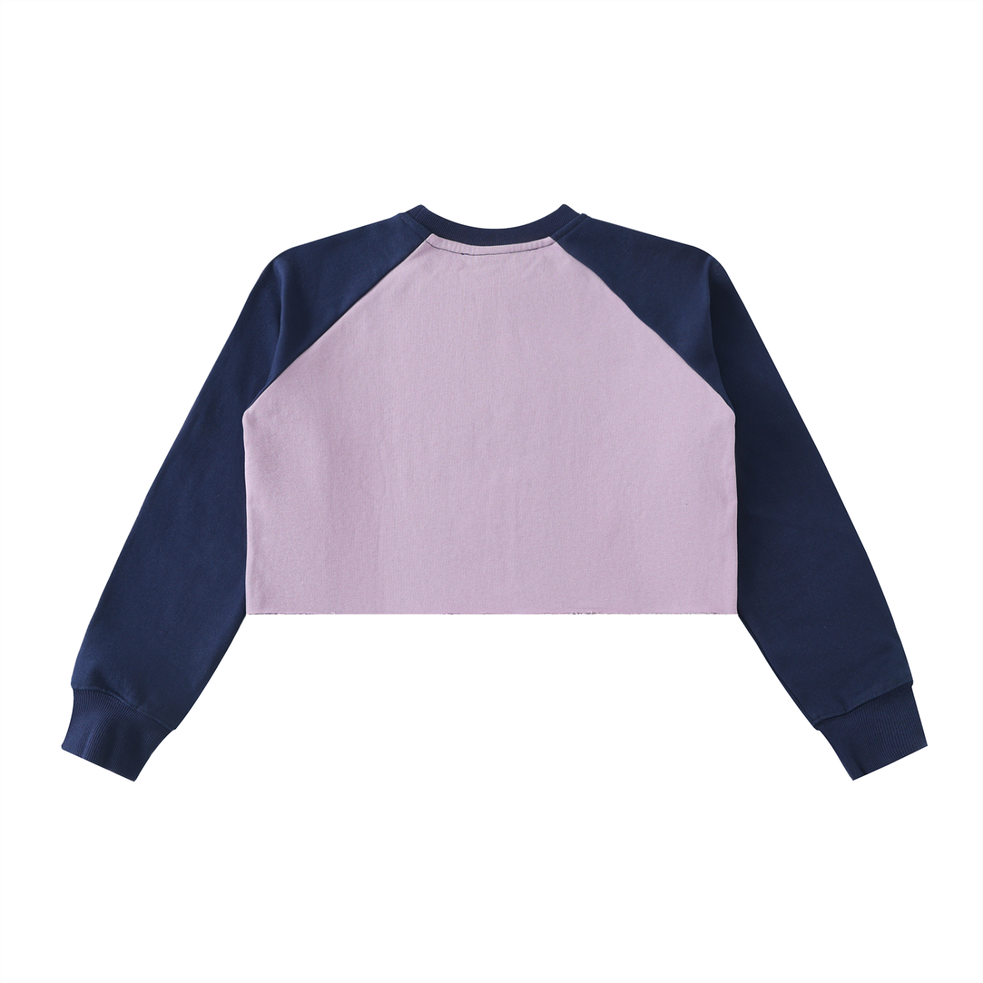 71 Crop Sweatshirt